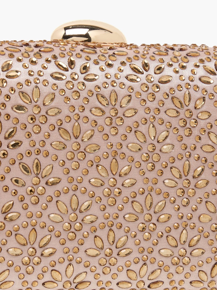Embellished Clutch with Detachable Chain Strap