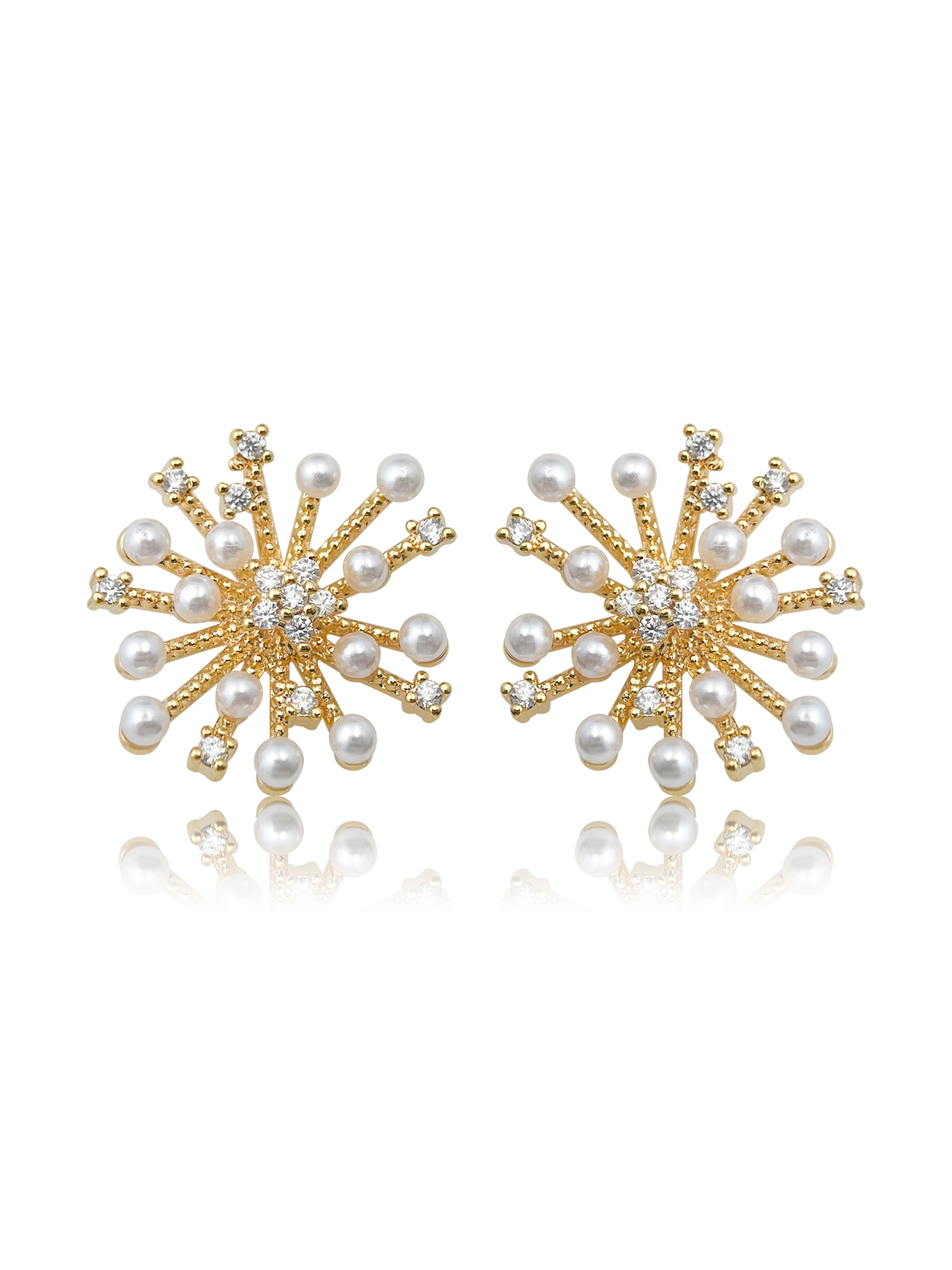 Embellished Stud Earrings