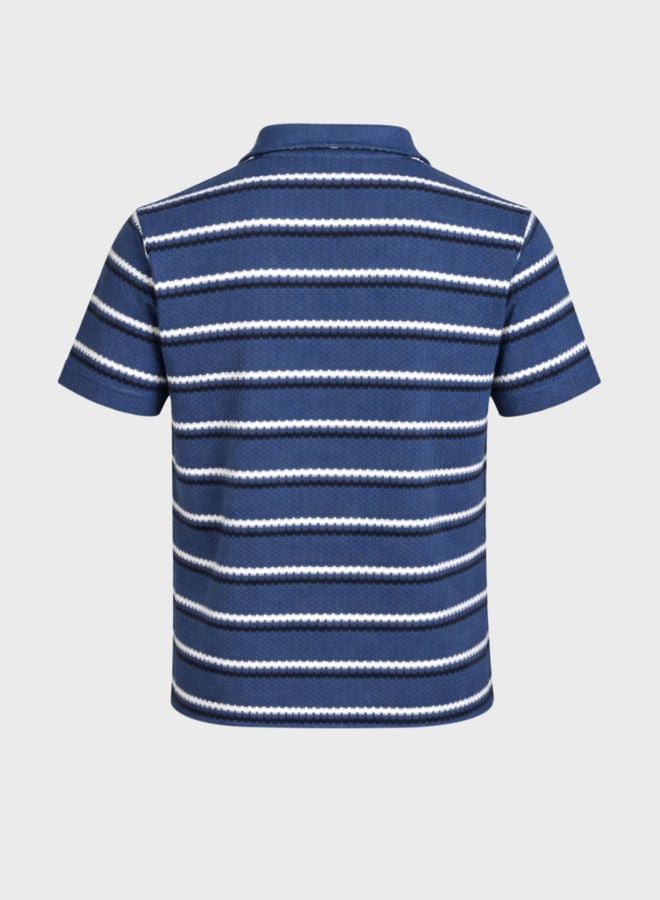 Men Regular Fit Striped Polo T-Shirt