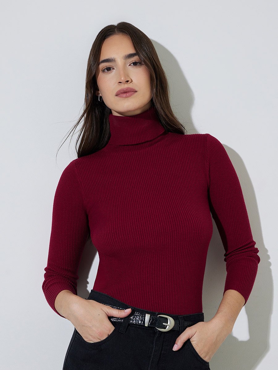 Red Regular Fit Turtle Neck Plain Sweater