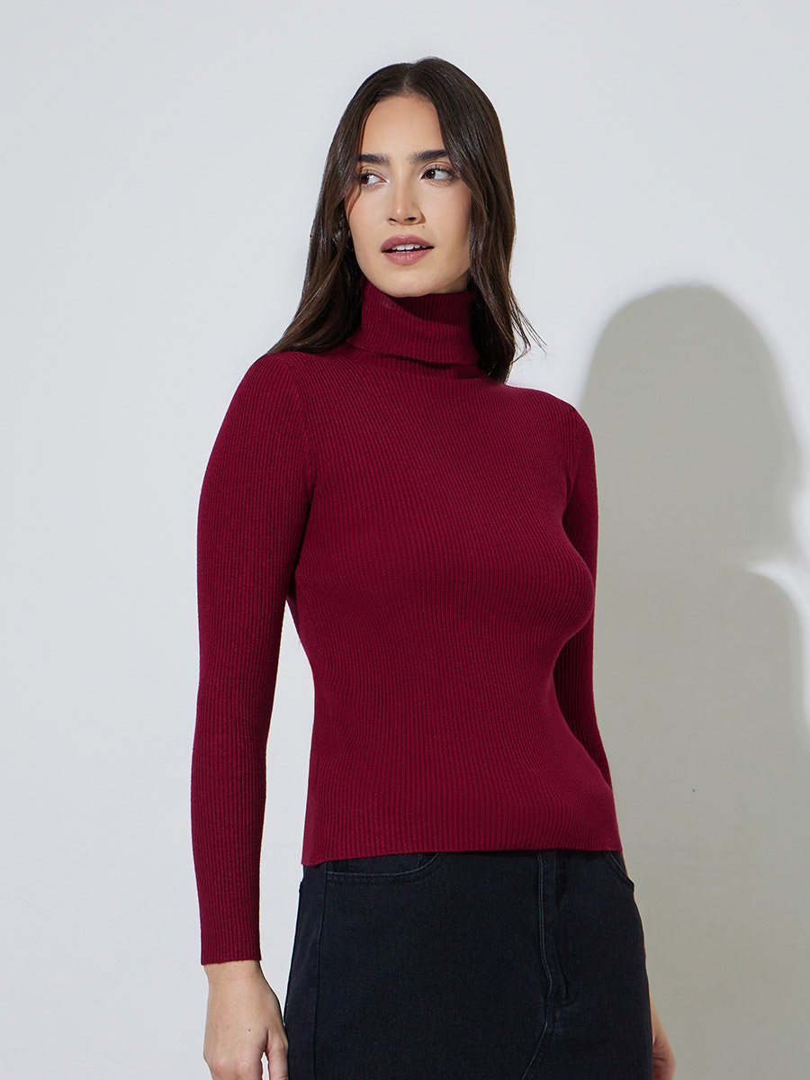 Red Regular Fit Turtle Neck Plain Sweater