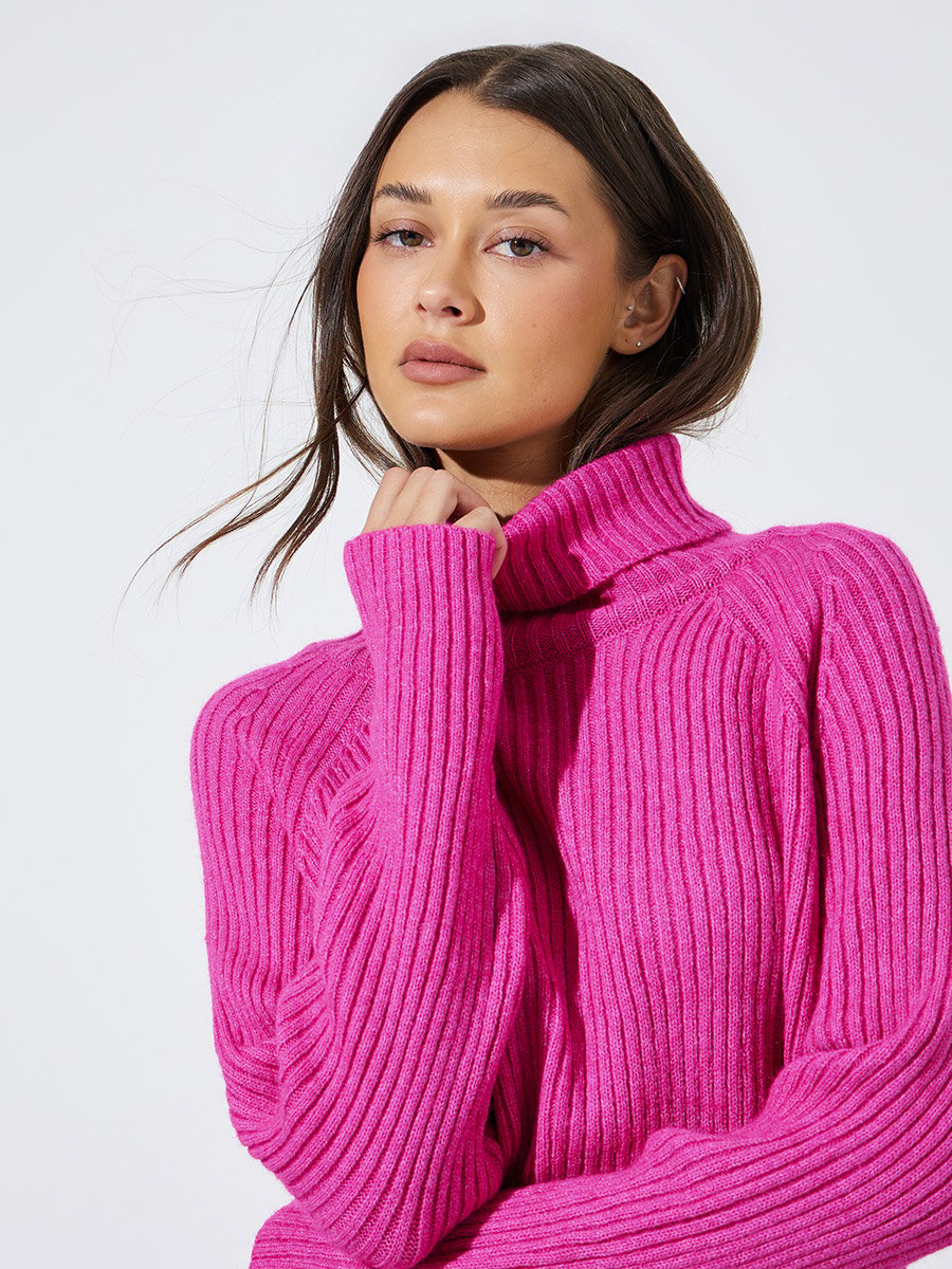 Pink Solid Turtle Neck Ribbed Sweater