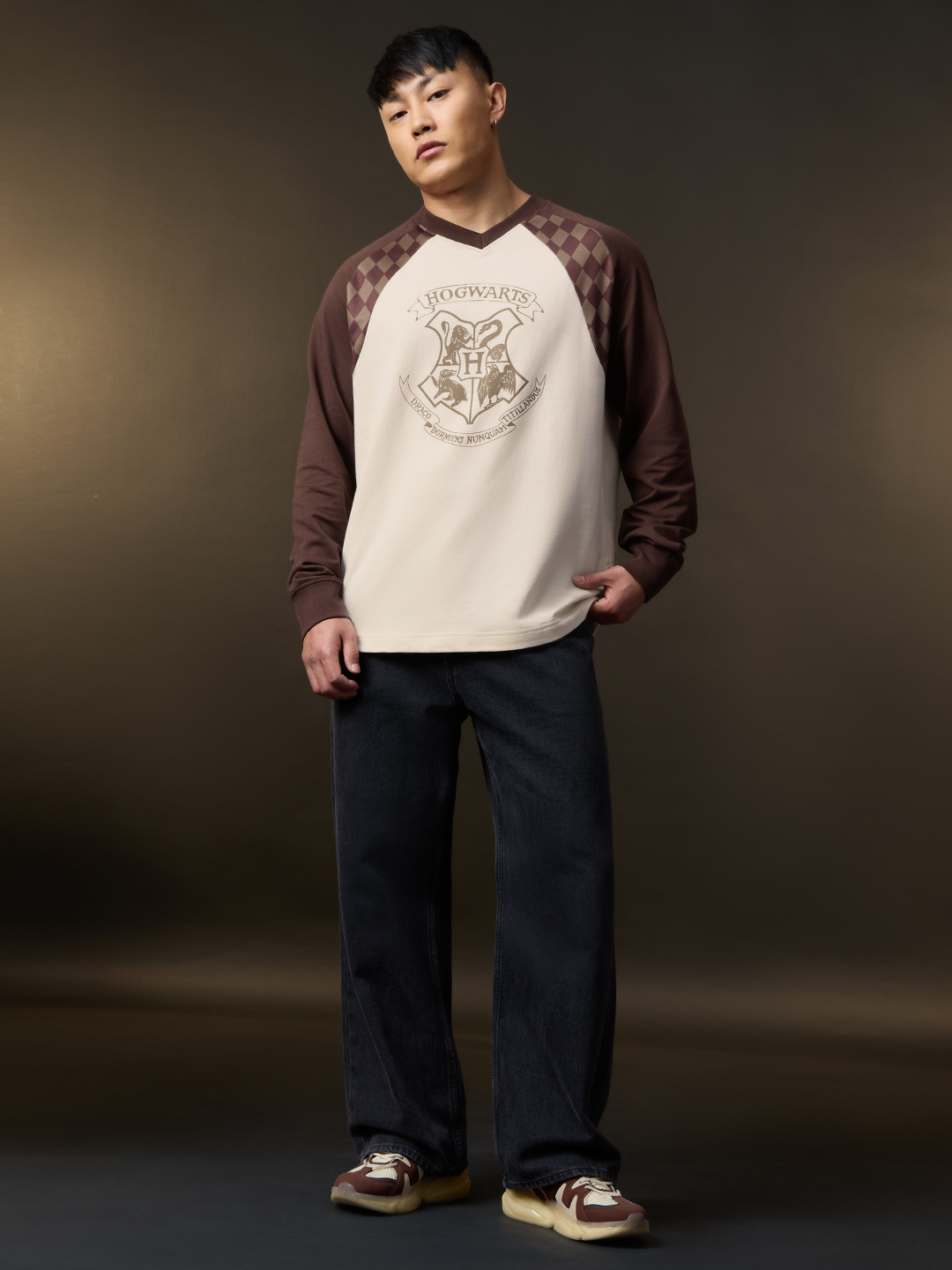 Men Harry Potter Hogwarts Graphic V-Neck Long Sleeve T-Shirt