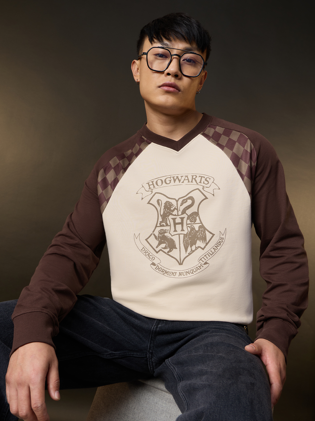 Men Harry Potter Hogwarts Graphic V-Neck Long Sleeve T-Shirt