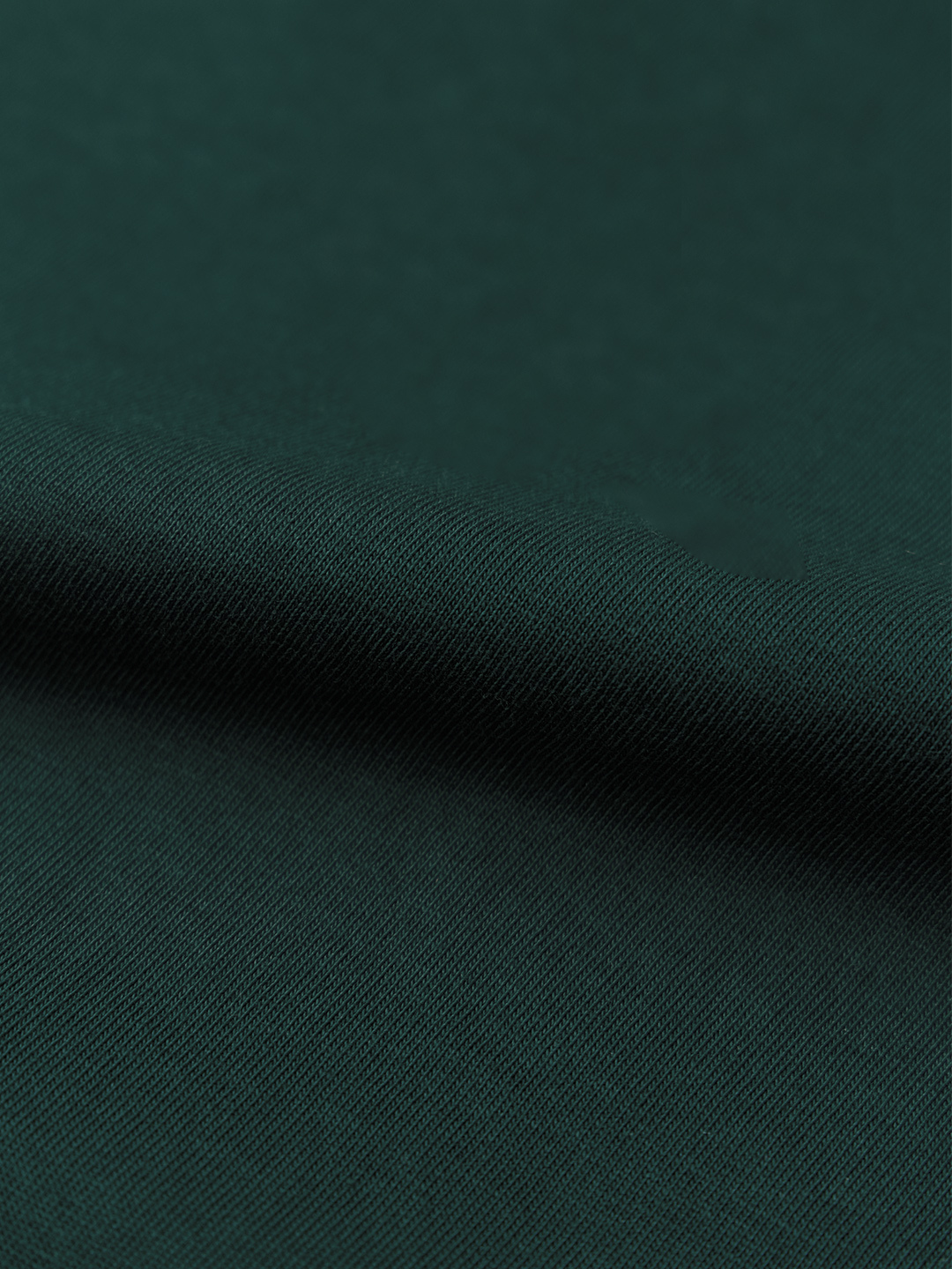 Oversized Green Succeed for Expensive Things Puff Print T-Shirt