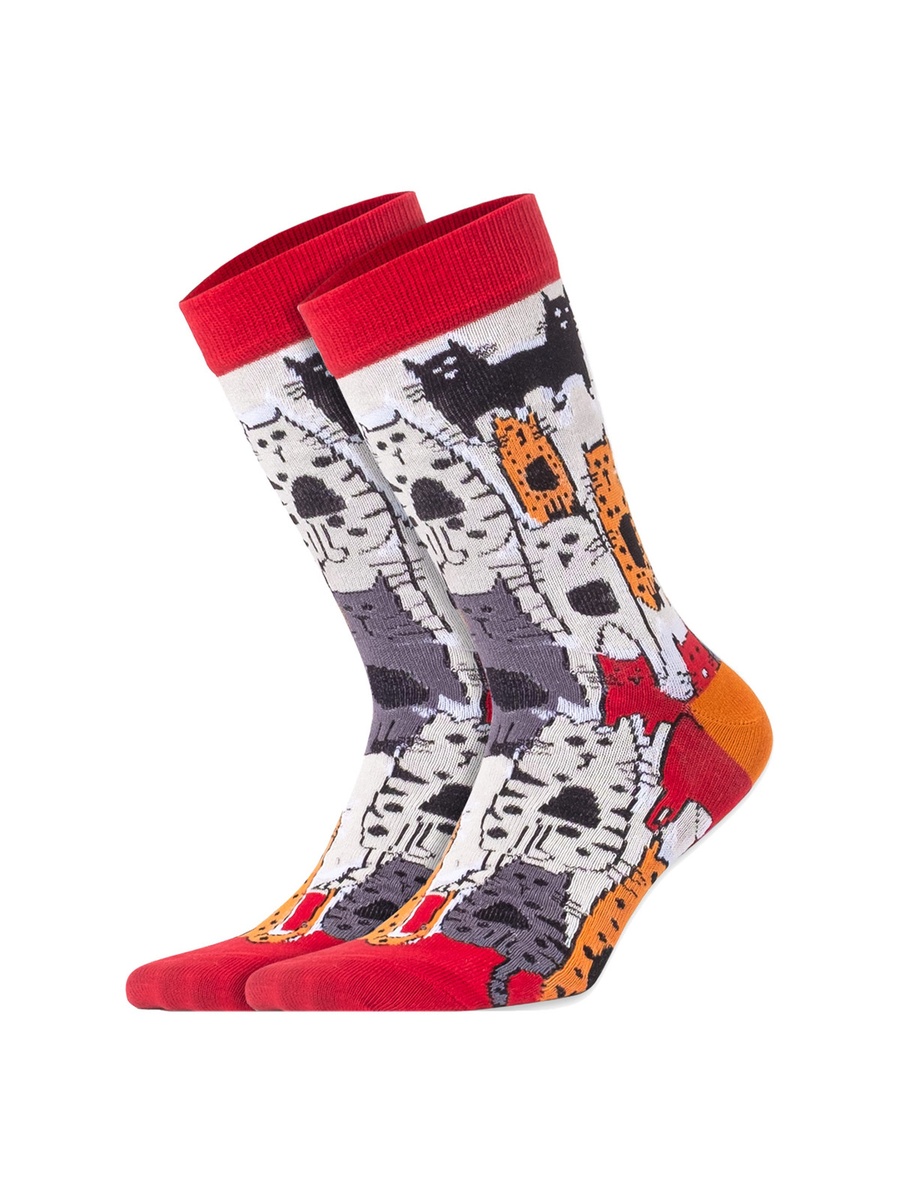 Pack of 5 - Cat Design Socks