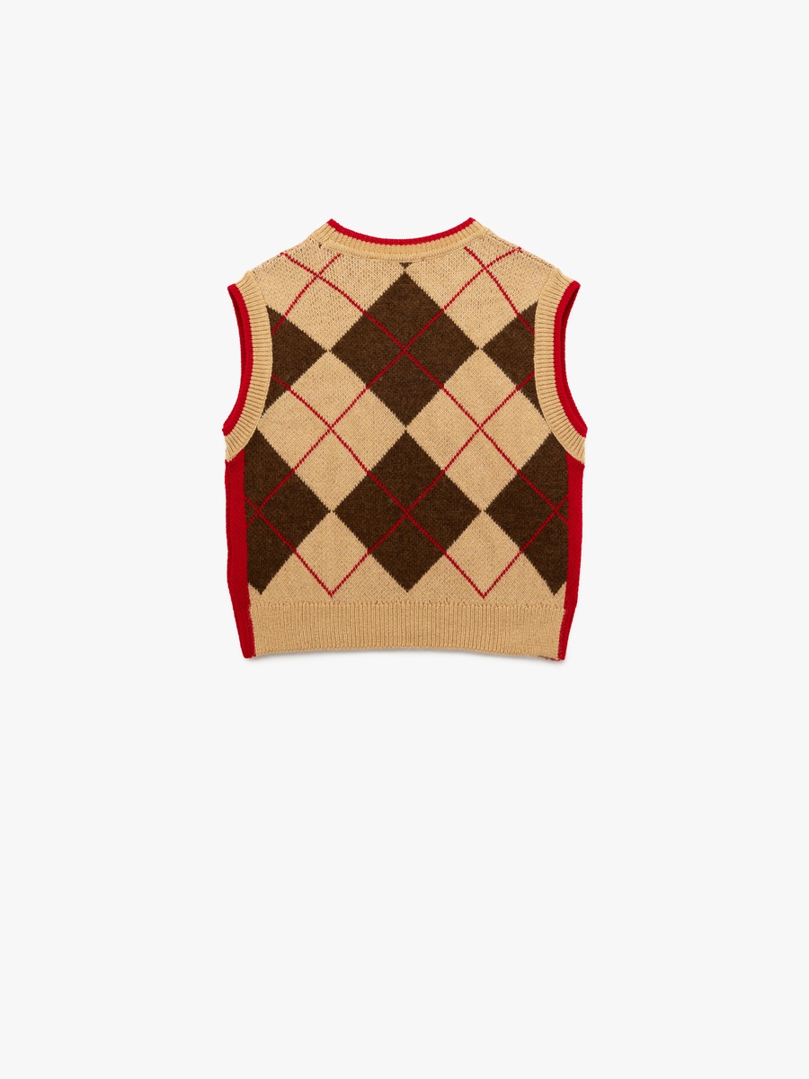 Argyle Knit Sweater Vest