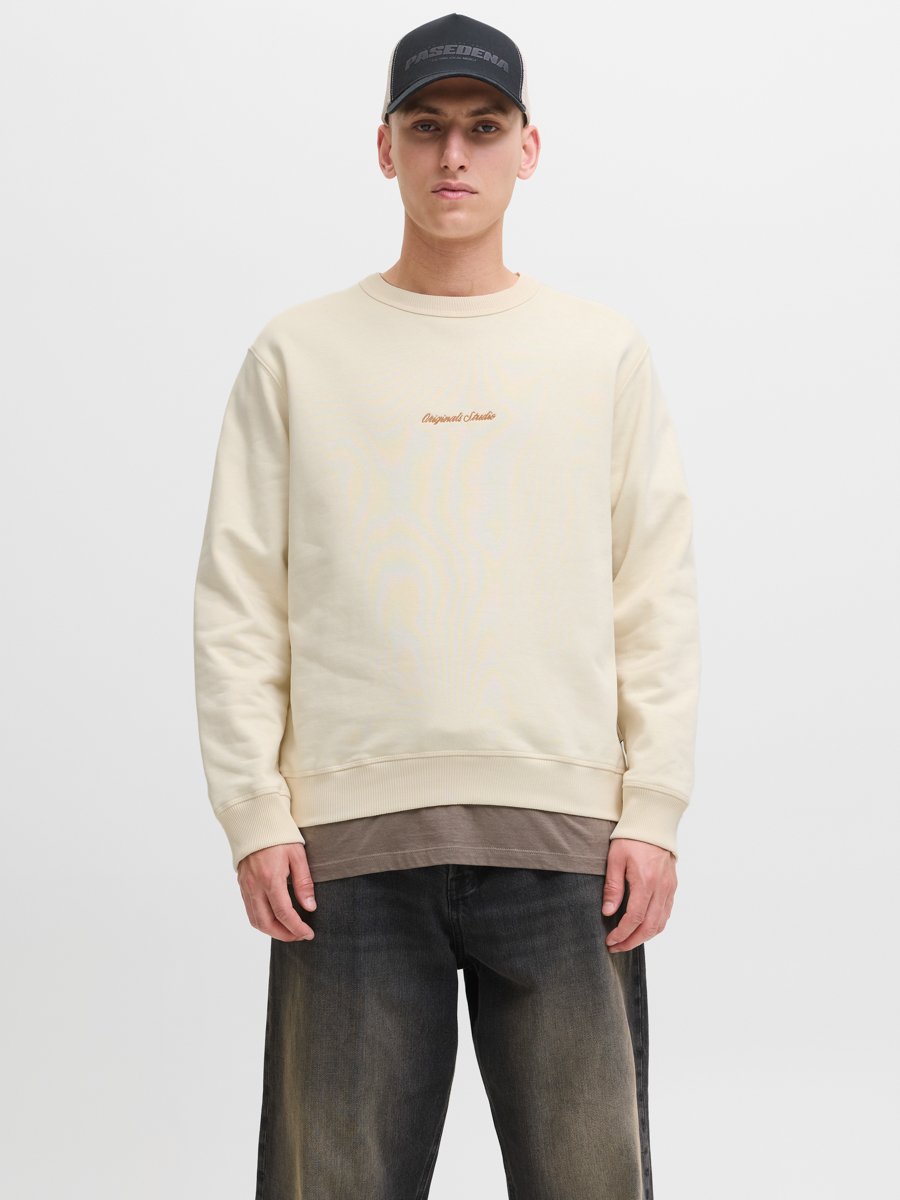 Cream Pullover Sweatshirt with Long Sleeves