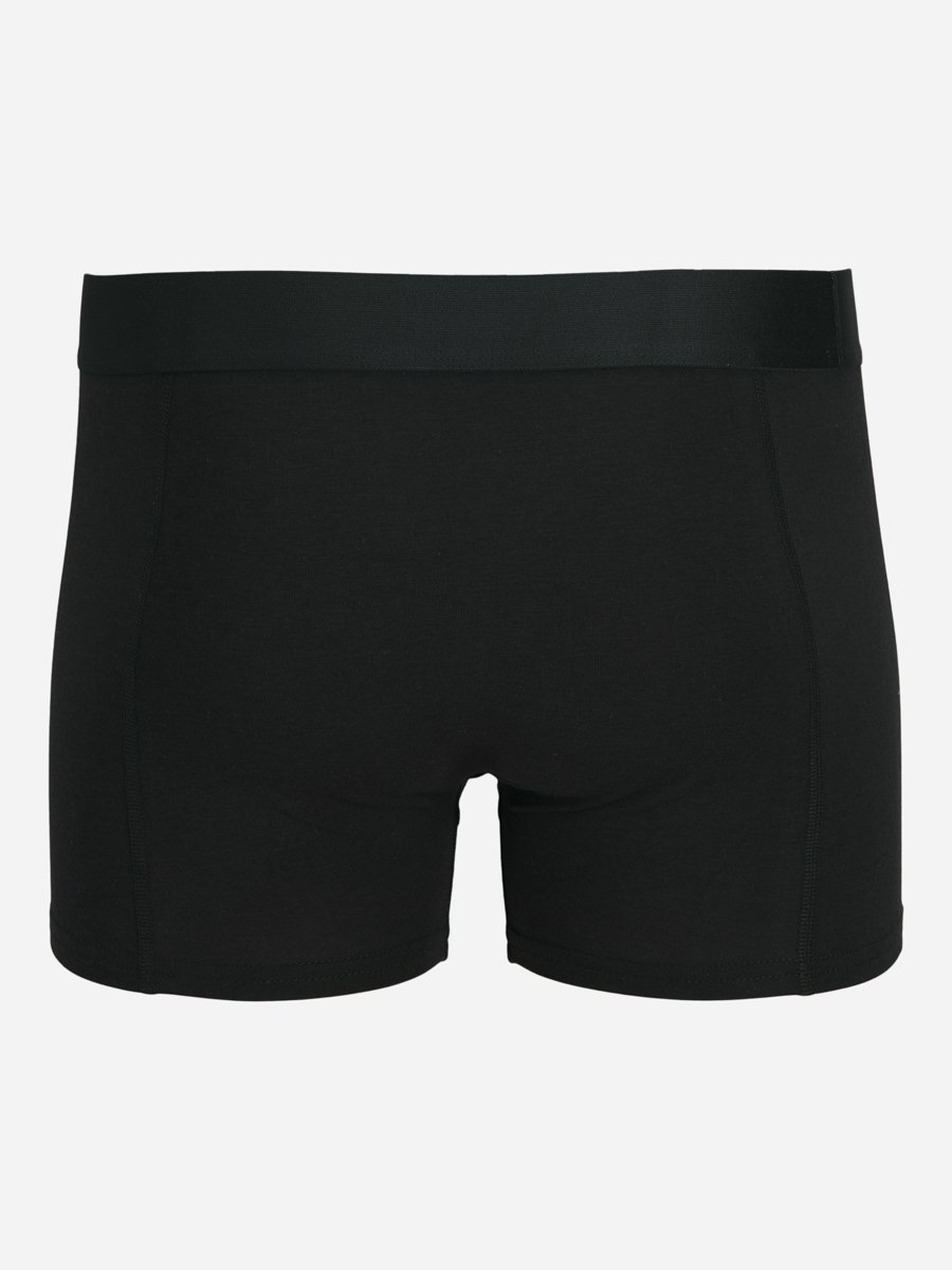Pack of 3 - Logo Band Trunks