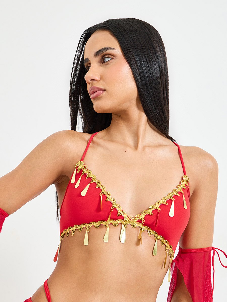Red Belly Dancer Inspired Lingerie Set with Skirt