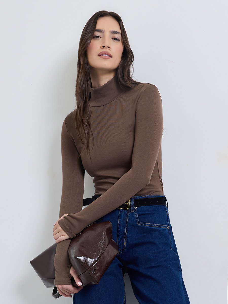 Brown Ribbed High Neck Knit Top