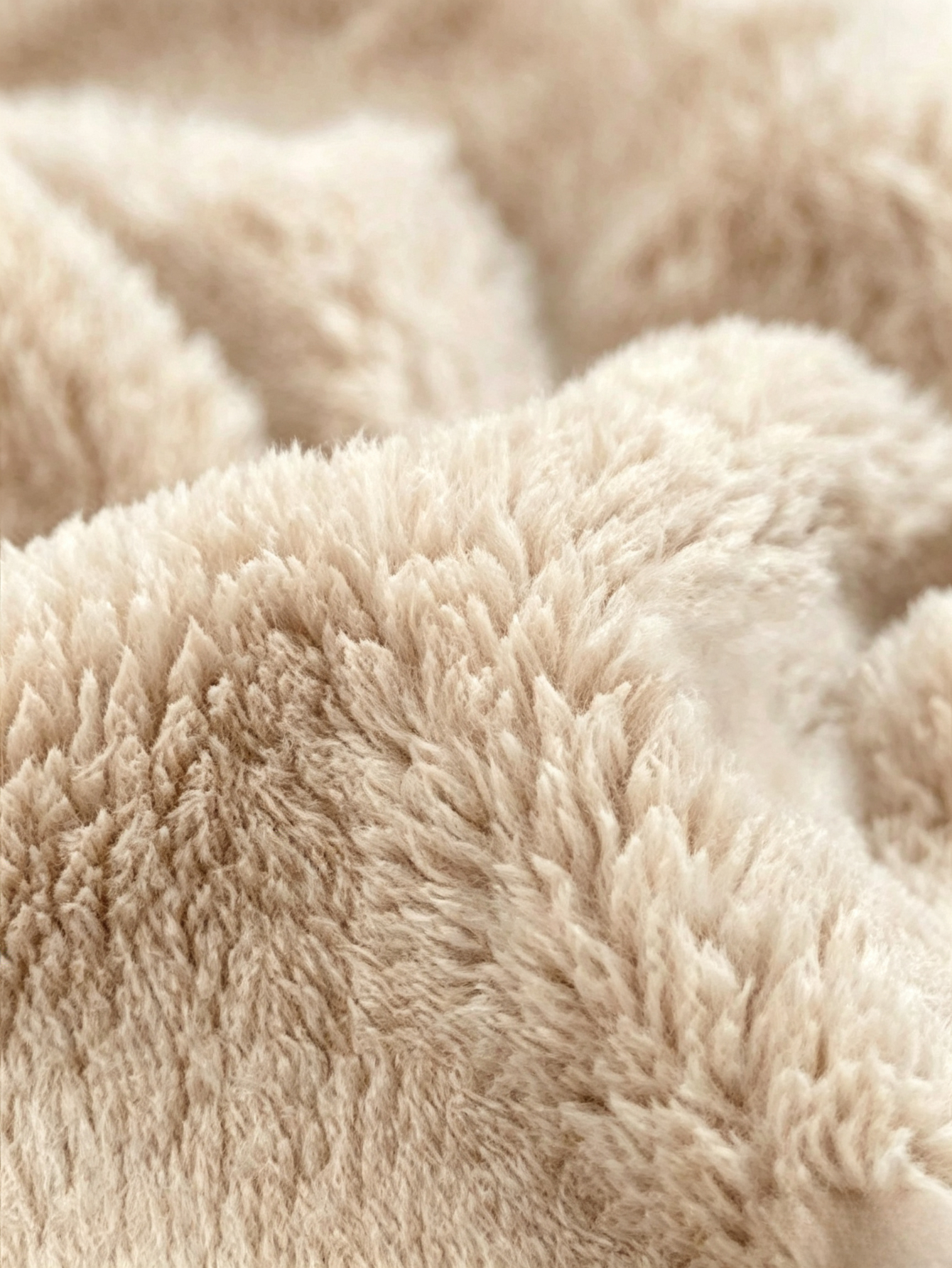 Beige Plush Long Sleeve Top
