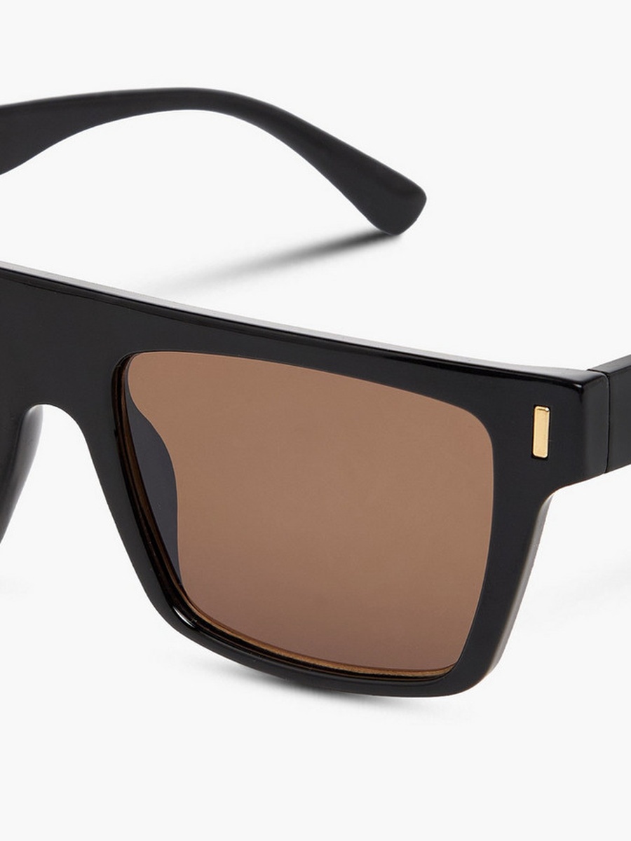 Men Brown Lens Sunglasses