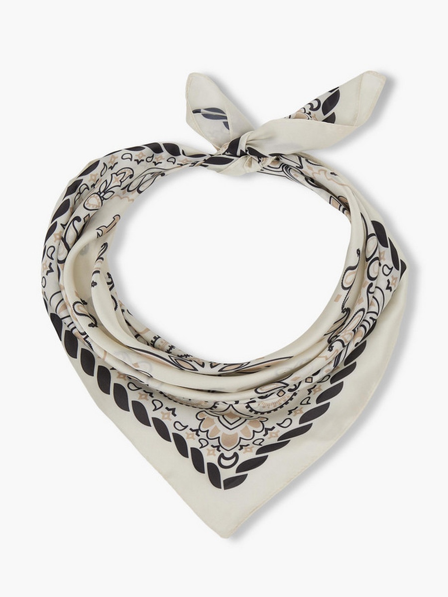 Paisley Print Scarf