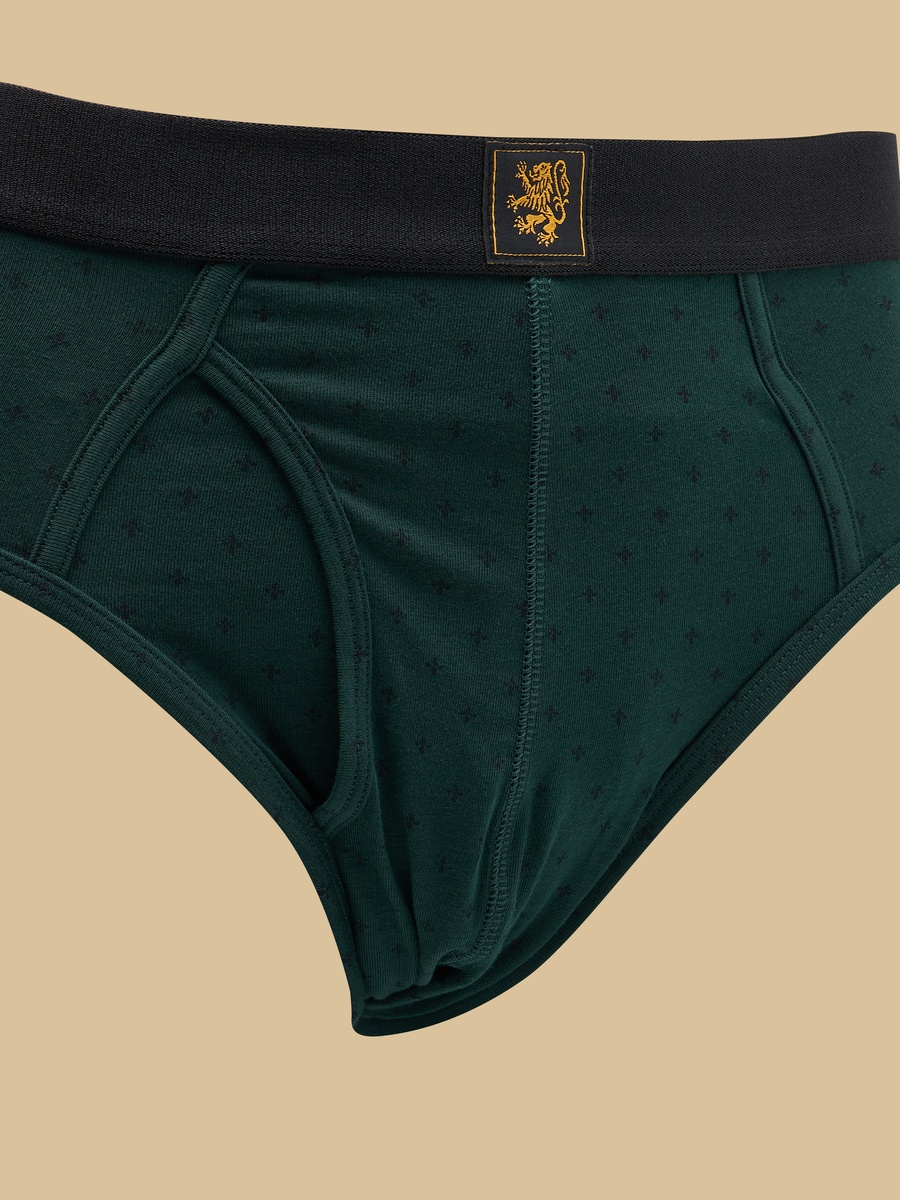 Pack of 3 - Printed Briefs