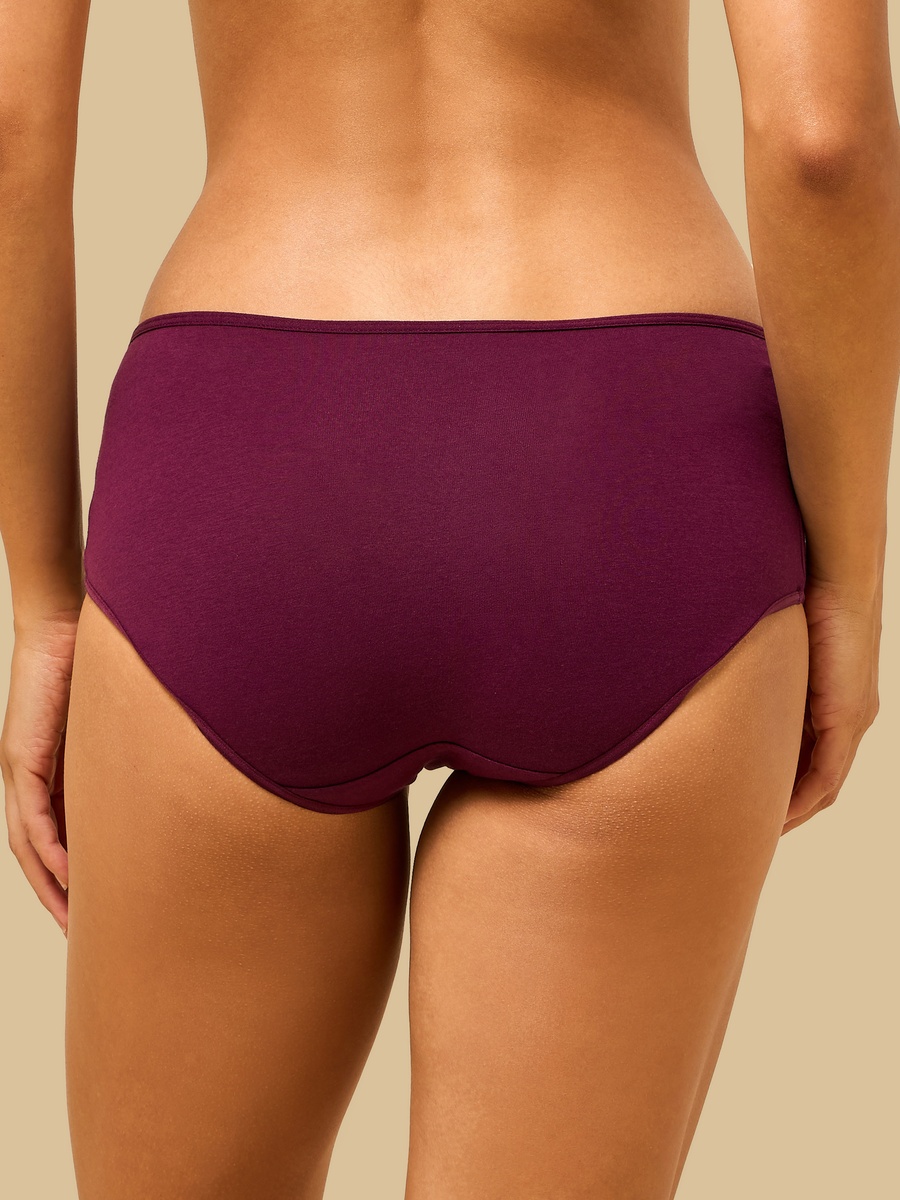 Pack of 5 - Assorted Midi Briefs