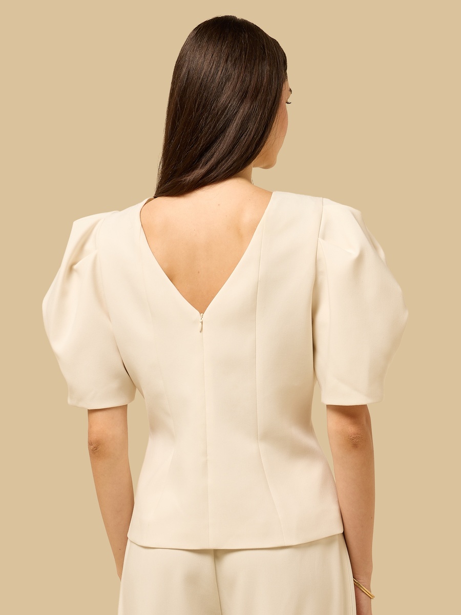 Panelled Peplum Top with Puff Sleeves