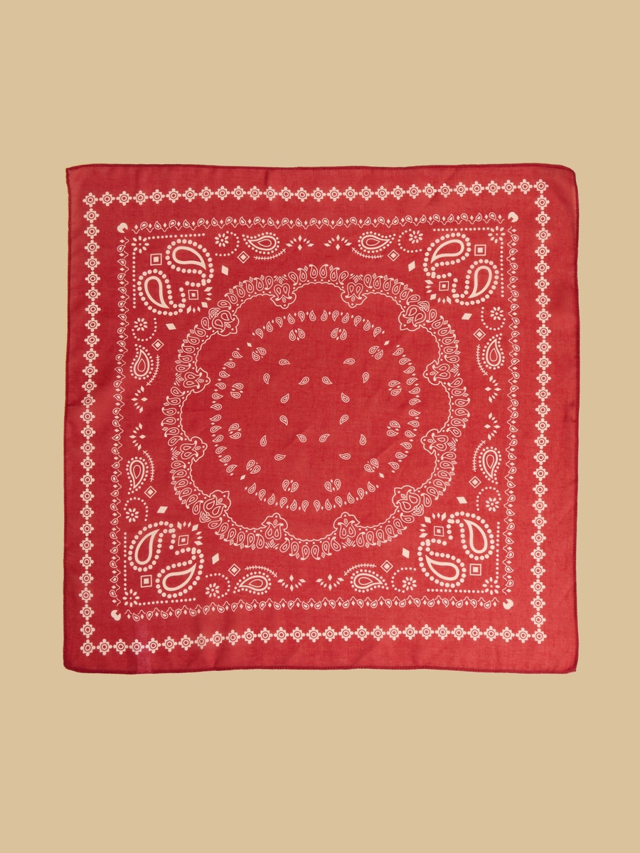 Paisley Print Bandana