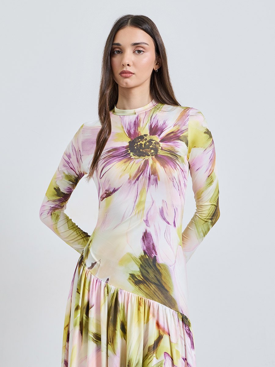 Multi Printed Round Neck A-Line Ankle length Dress