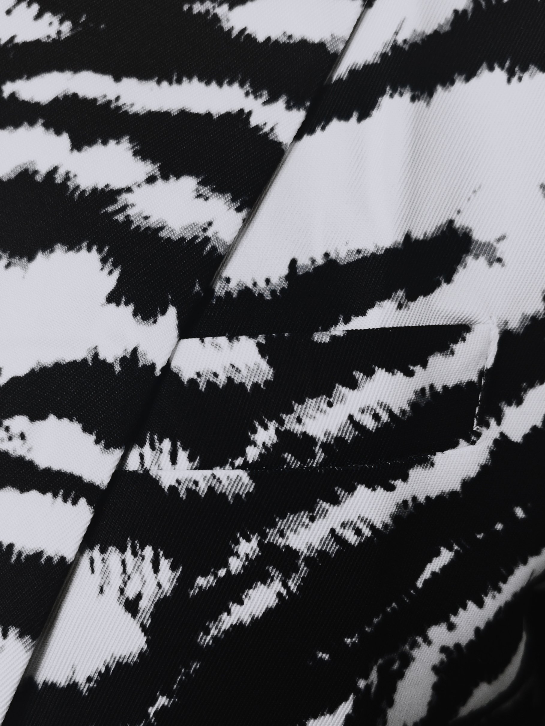 Multi-Color Zebra Print Blazer with Single Button Closure