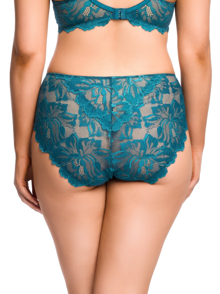 Zhara Hi Cut Briefs