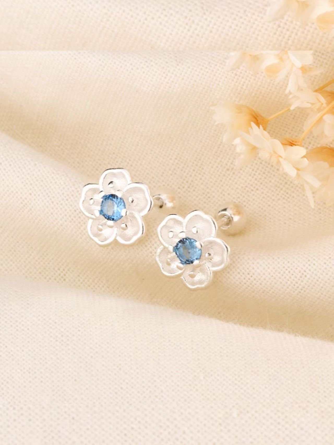 Silver Plain Earrings