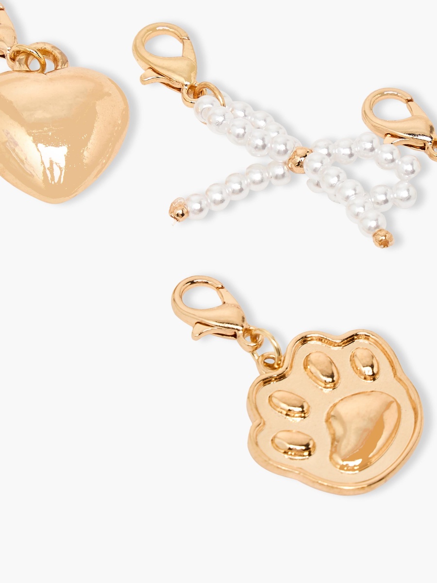 Set of 5 - Assorted Charm