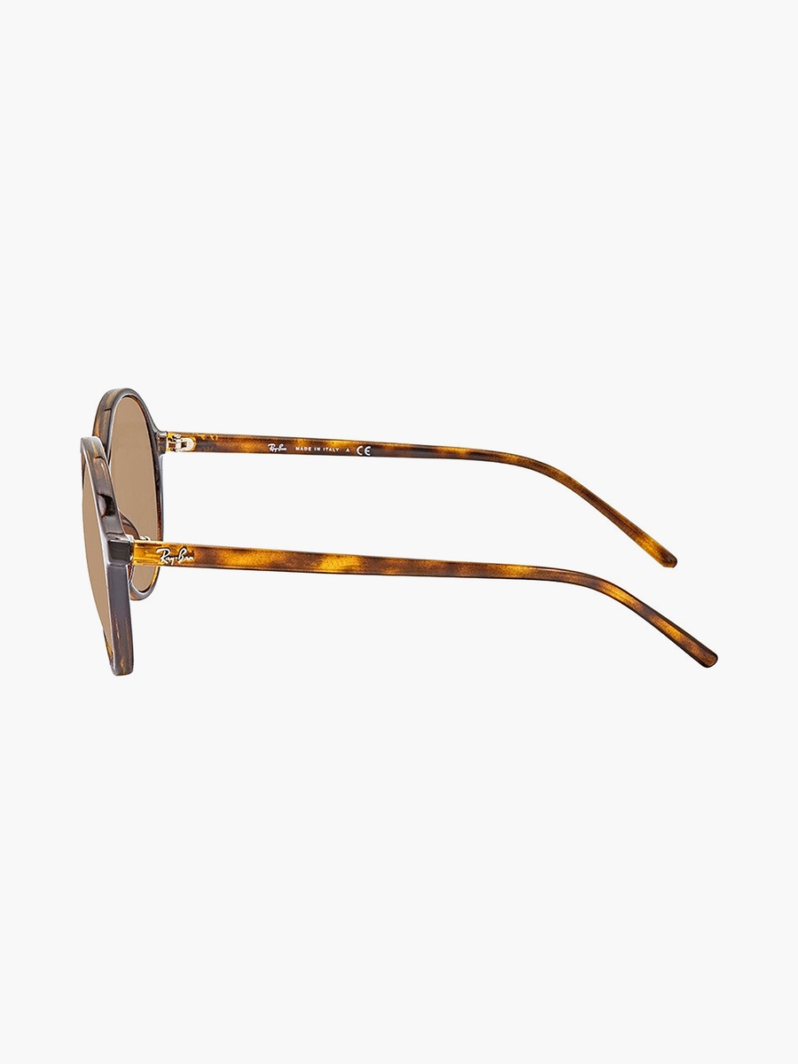 Women Round Brown Sunglasses | 4304
