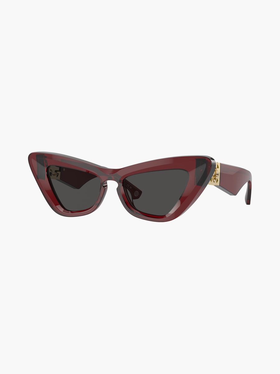 Women Cat Eye Grey Sunglasses | 4421U