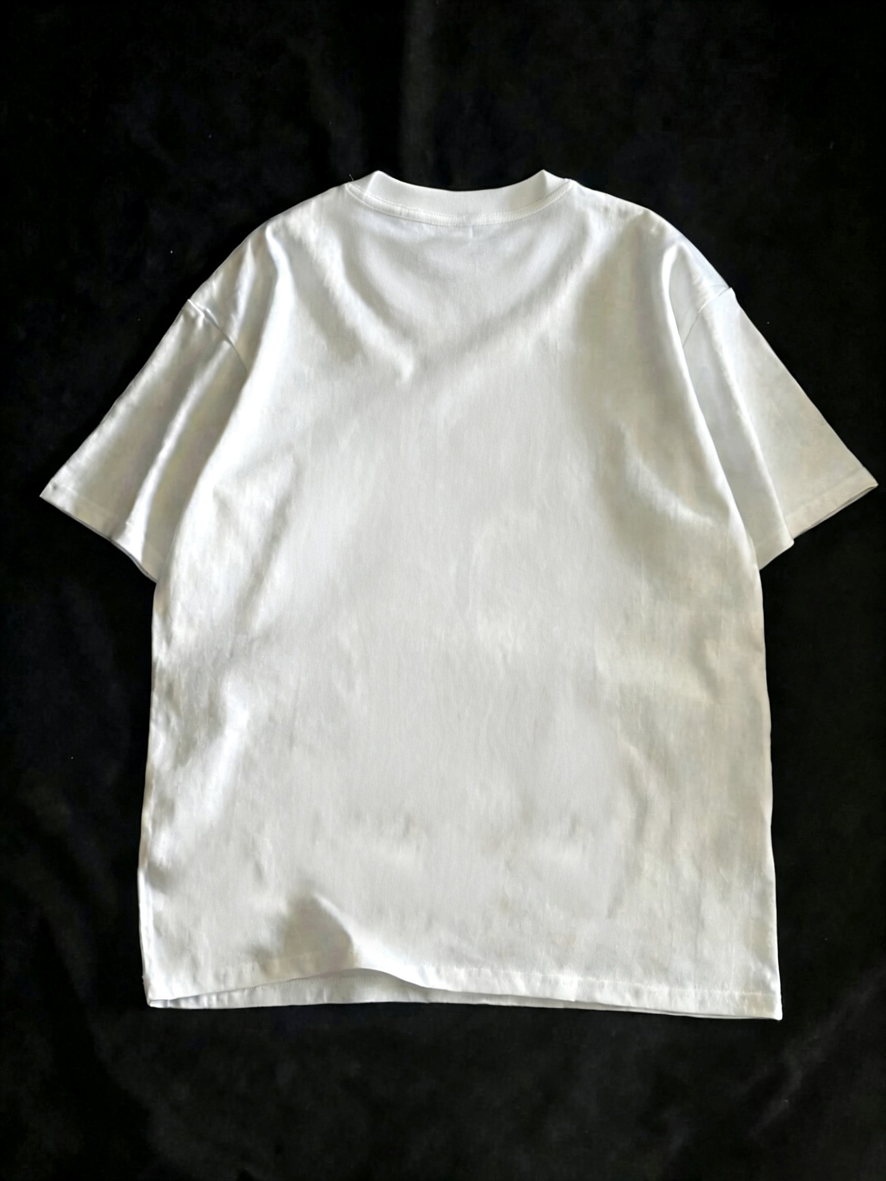 White Embroidered Round Neck Regular T-Shirt