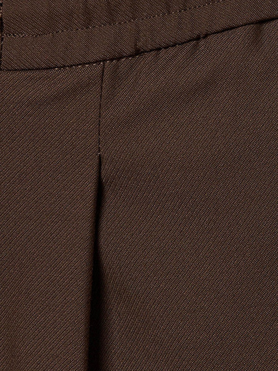 Regular Fit Formal Pleated Trousers