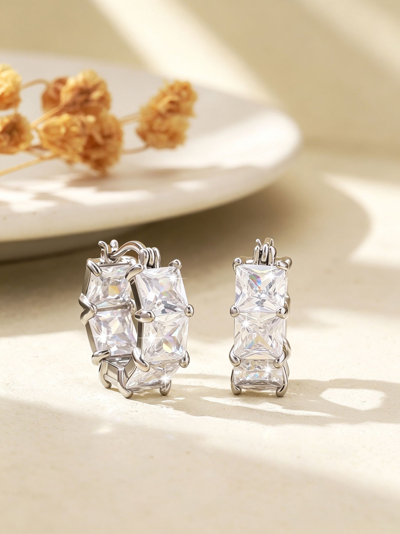 Silver Plain Earrings