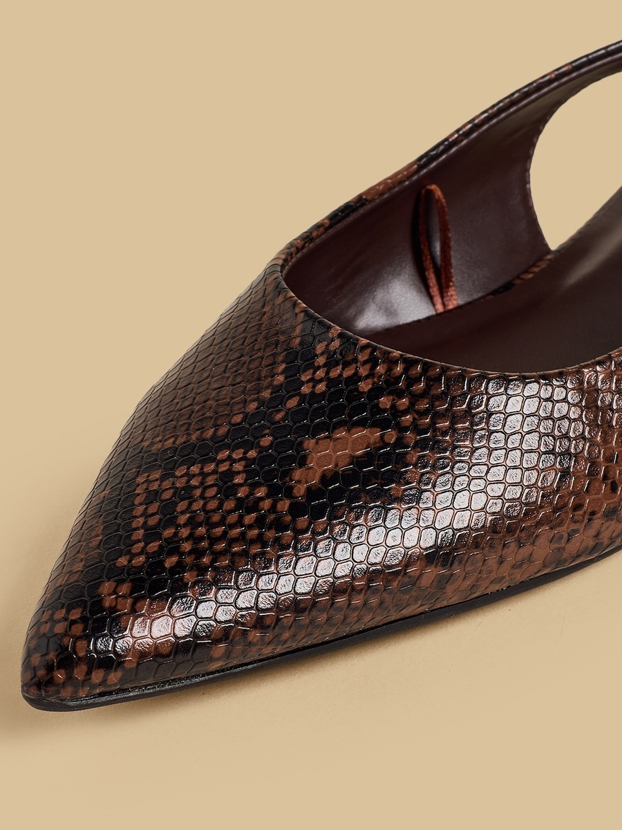 Pointed Toe Shoes with Buckle Closure
