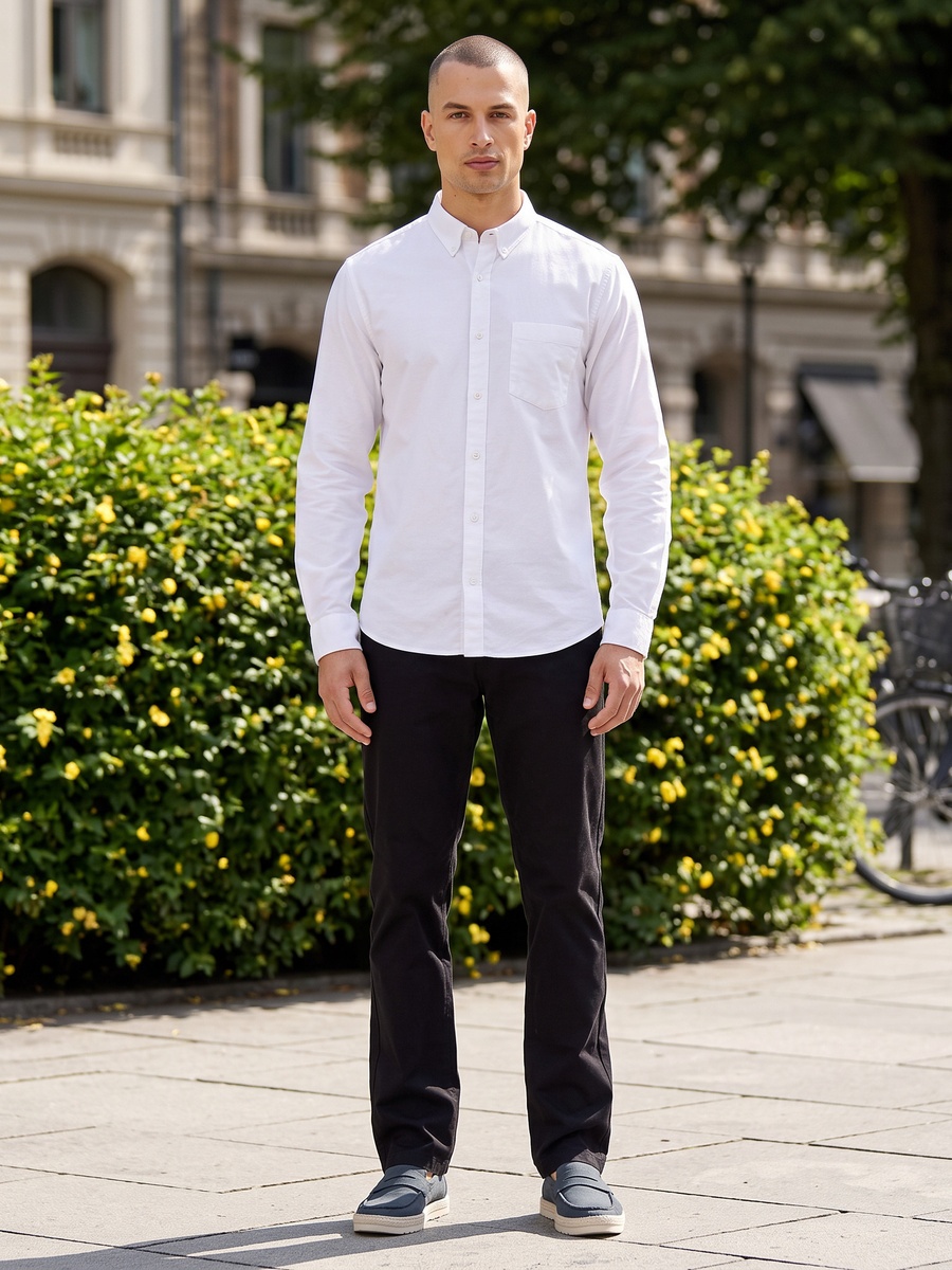 Regular Fit Chinos