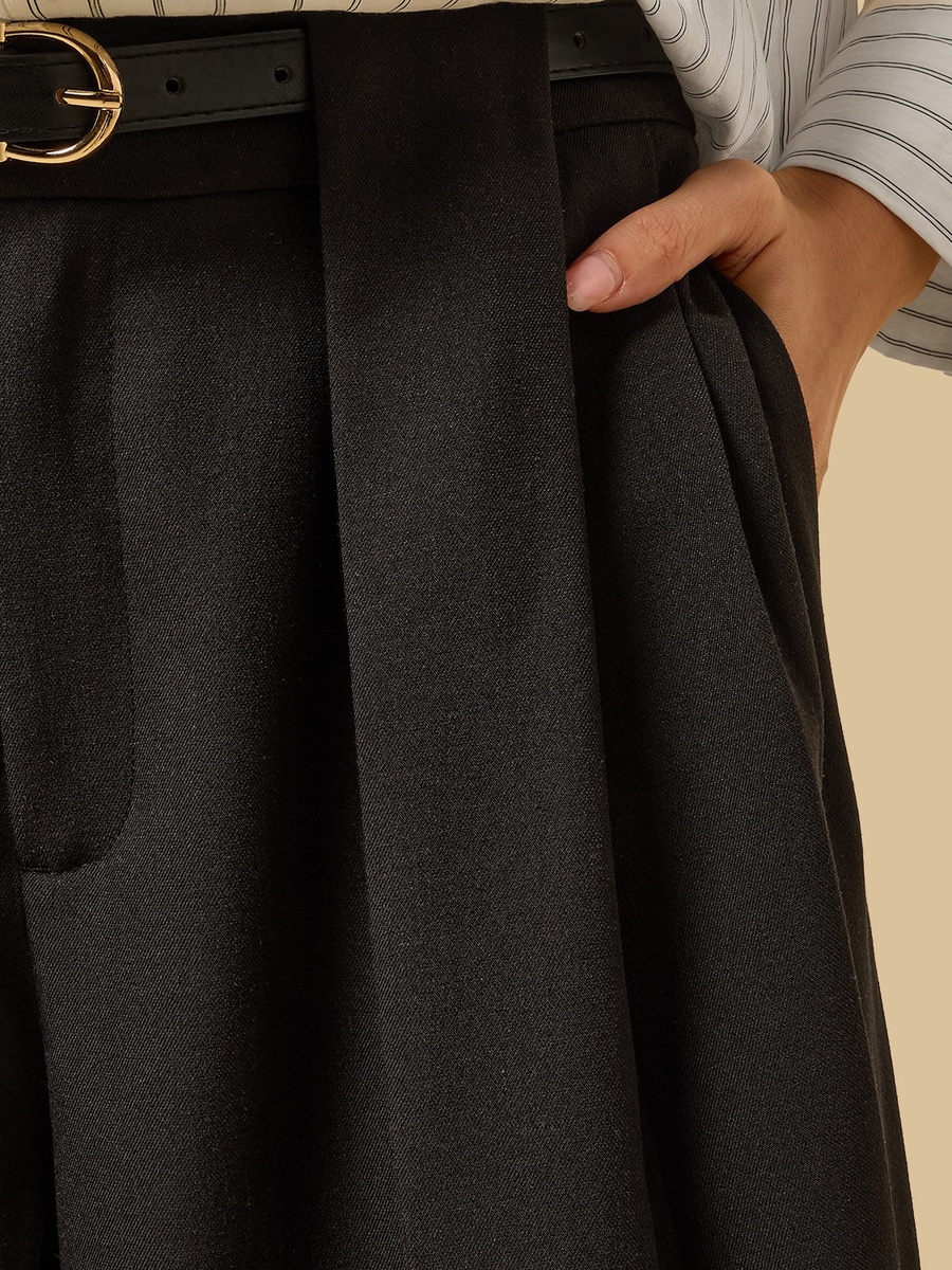 Pleated Pants with Belt