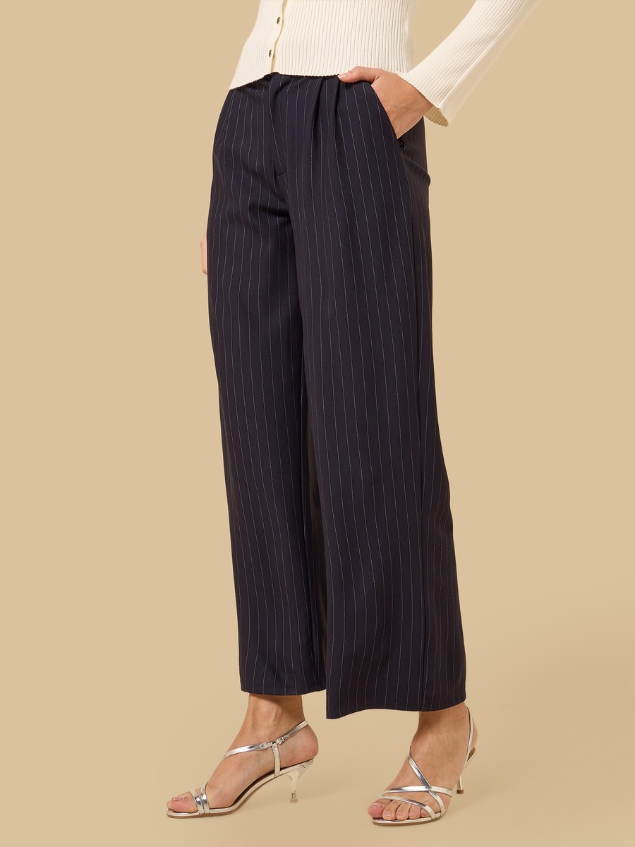 Striped Pleated Wide Leg Pants