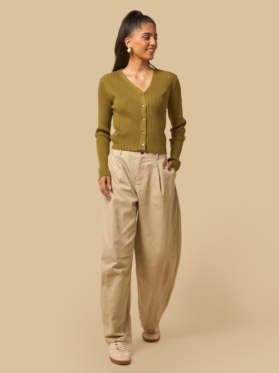 Pleated Barrel Fit Twill Pants