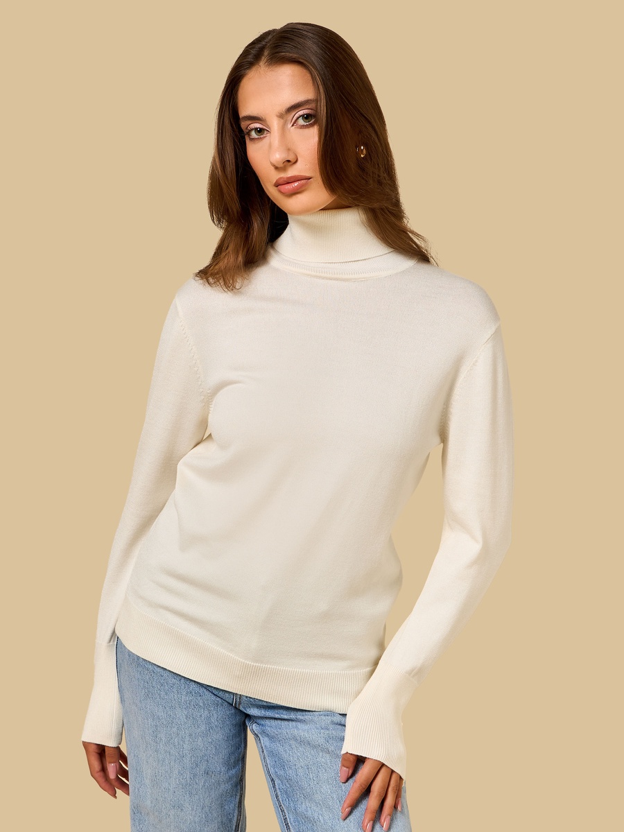 Textured Turtle Neck Sweater