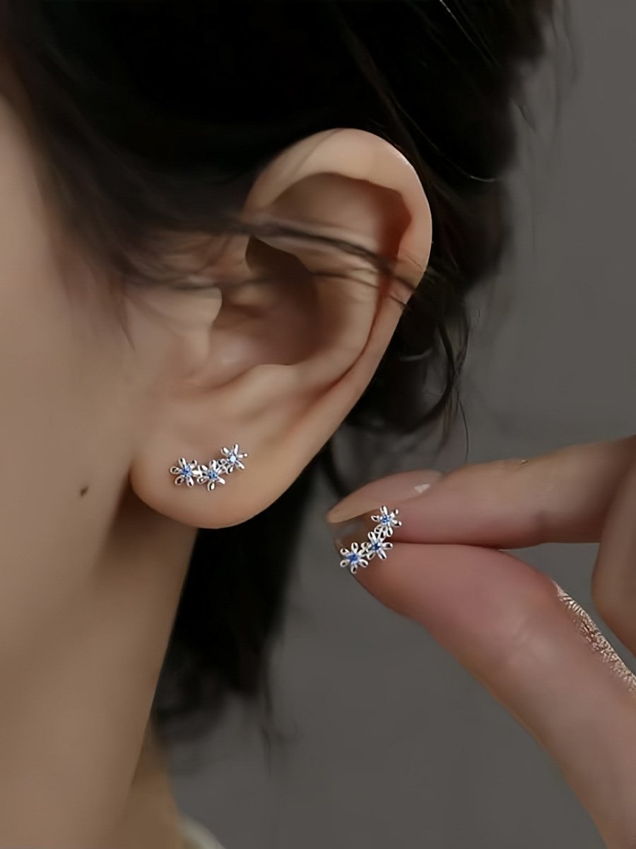 Silver Plain Earrings