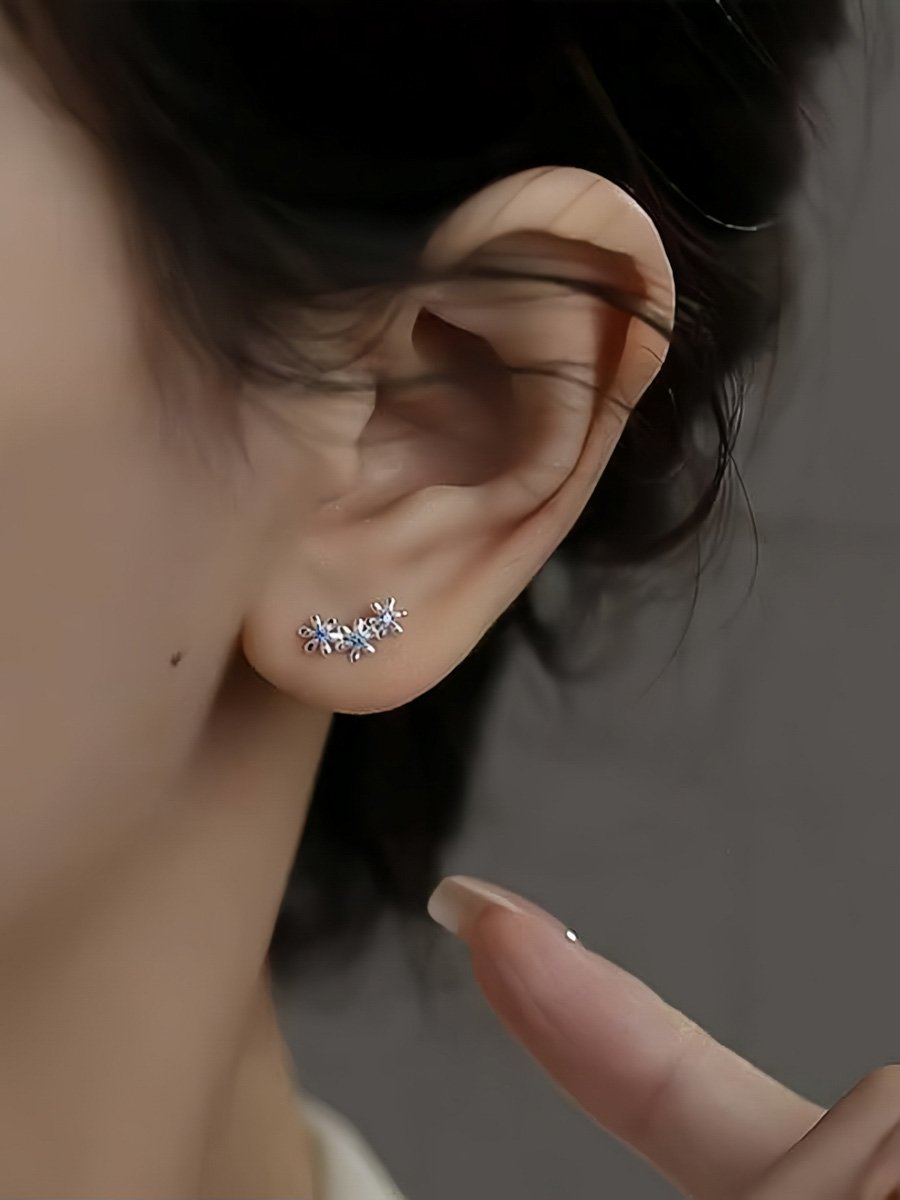 Silver Plain Earrings