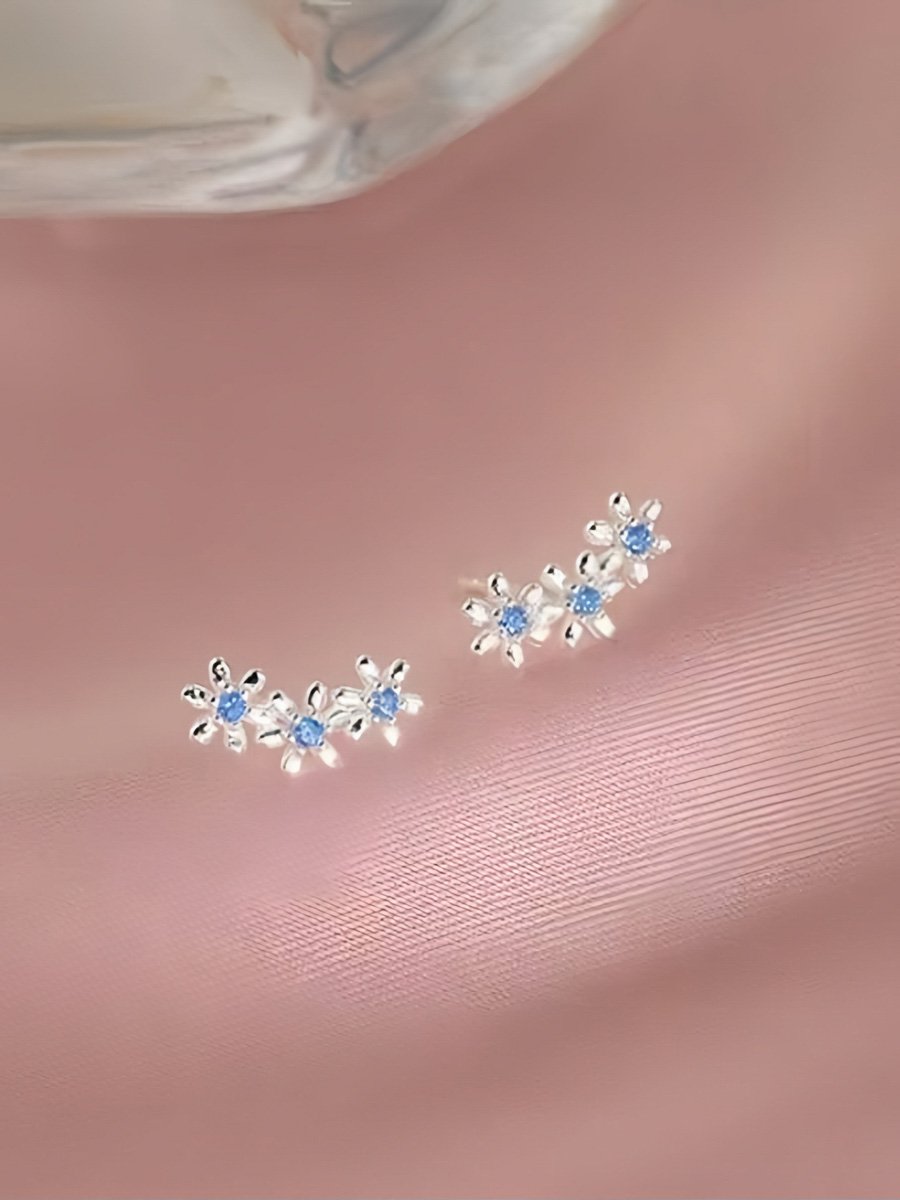 Silver Plain Earrings