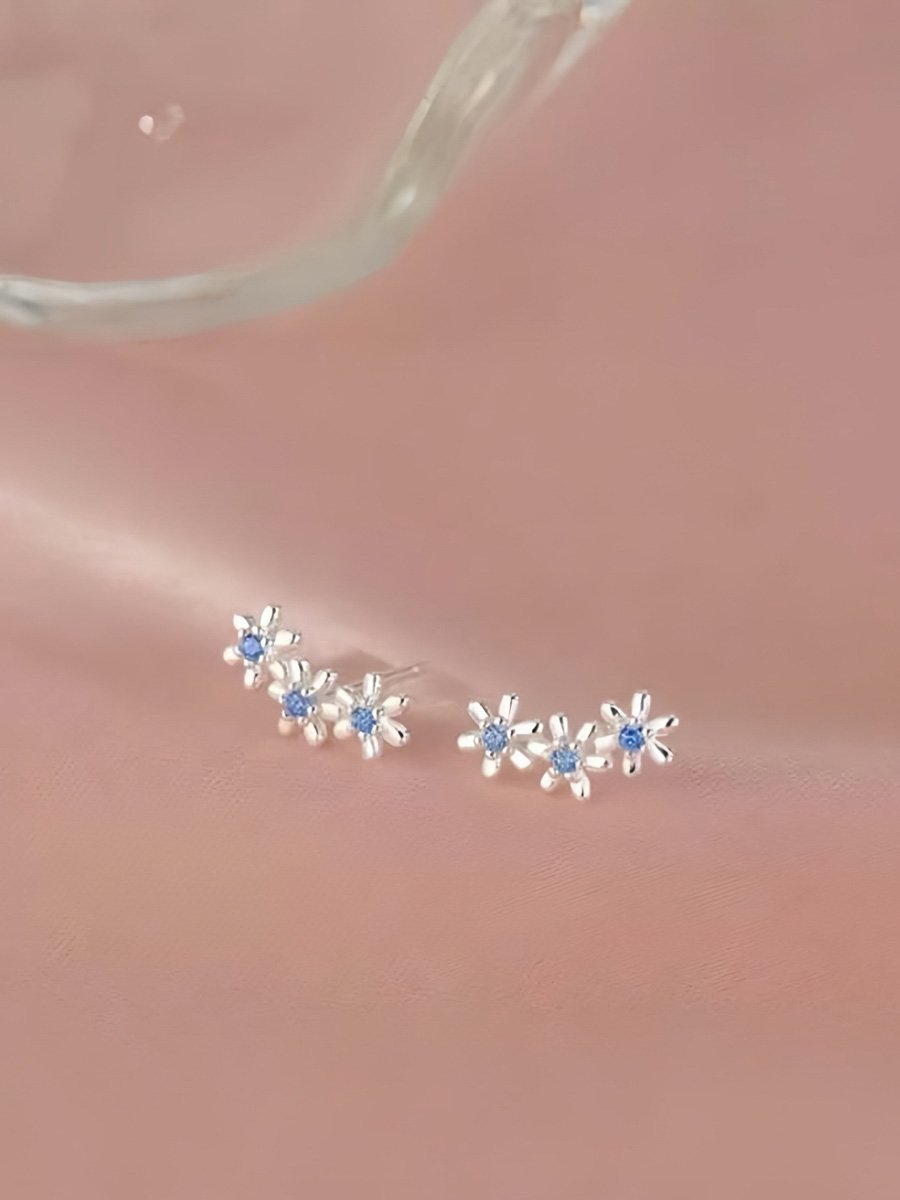 Silver Plain Earrings