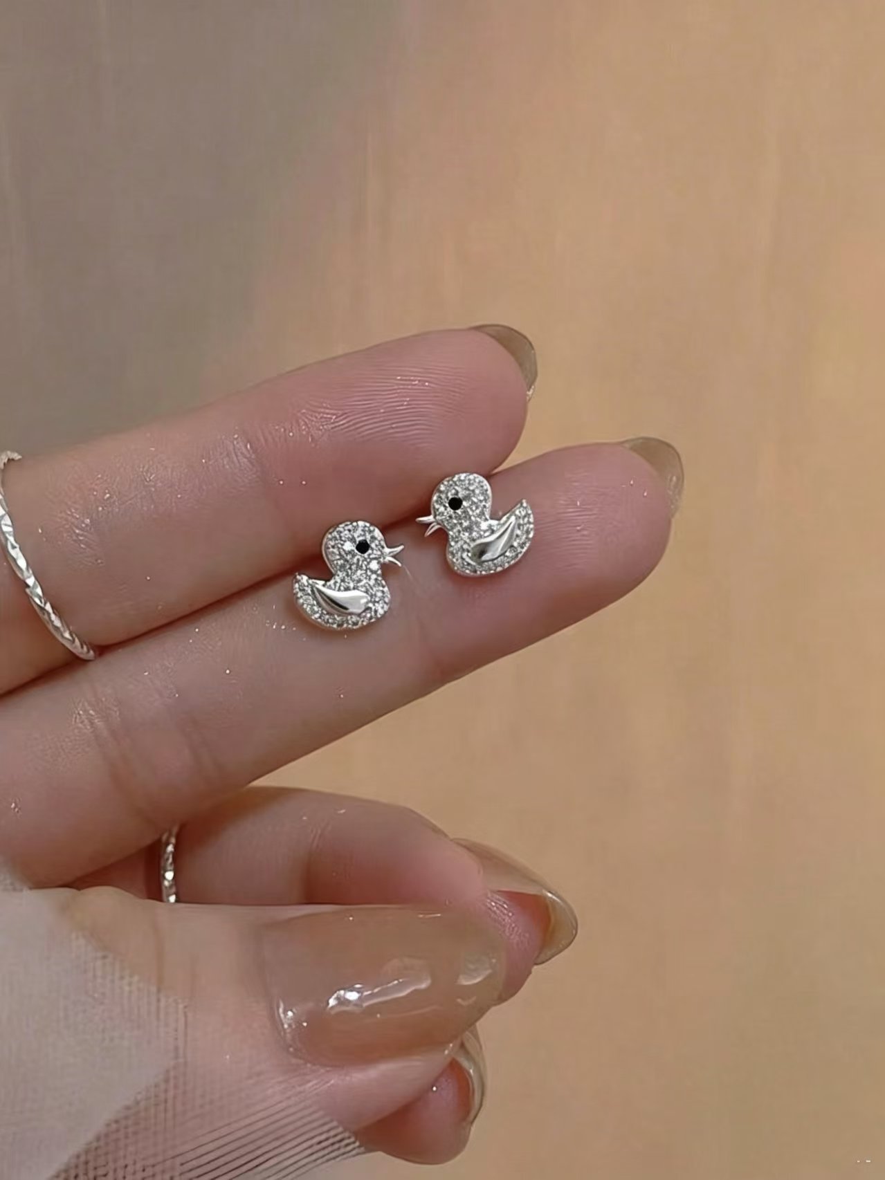 Silver Plain Earrings