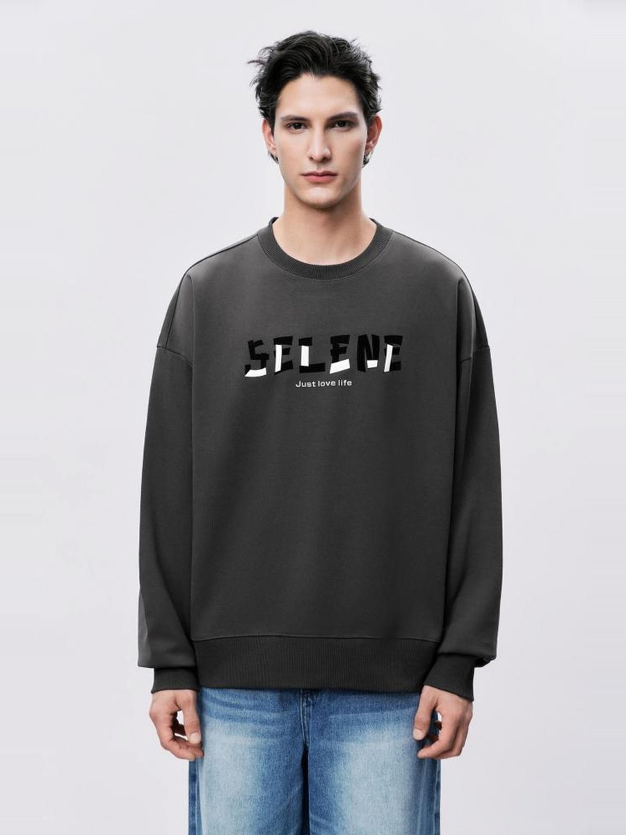 Grey Logo Graphic Pullover Sweatshirt