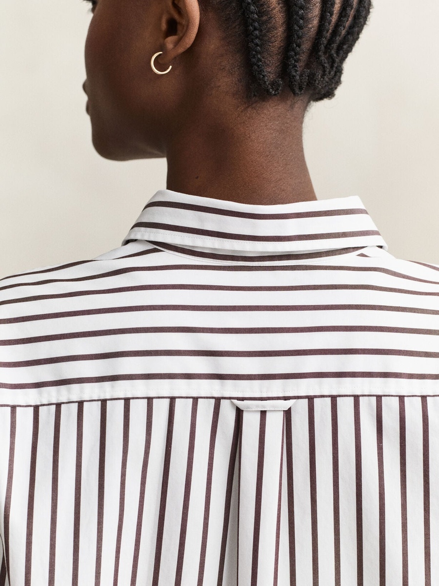 Brown Relaxed Classic Poplin Striped Shirt