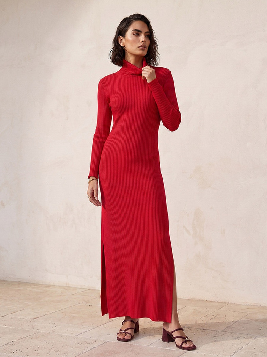 Maxi Length Bodycon Dress with High Neck