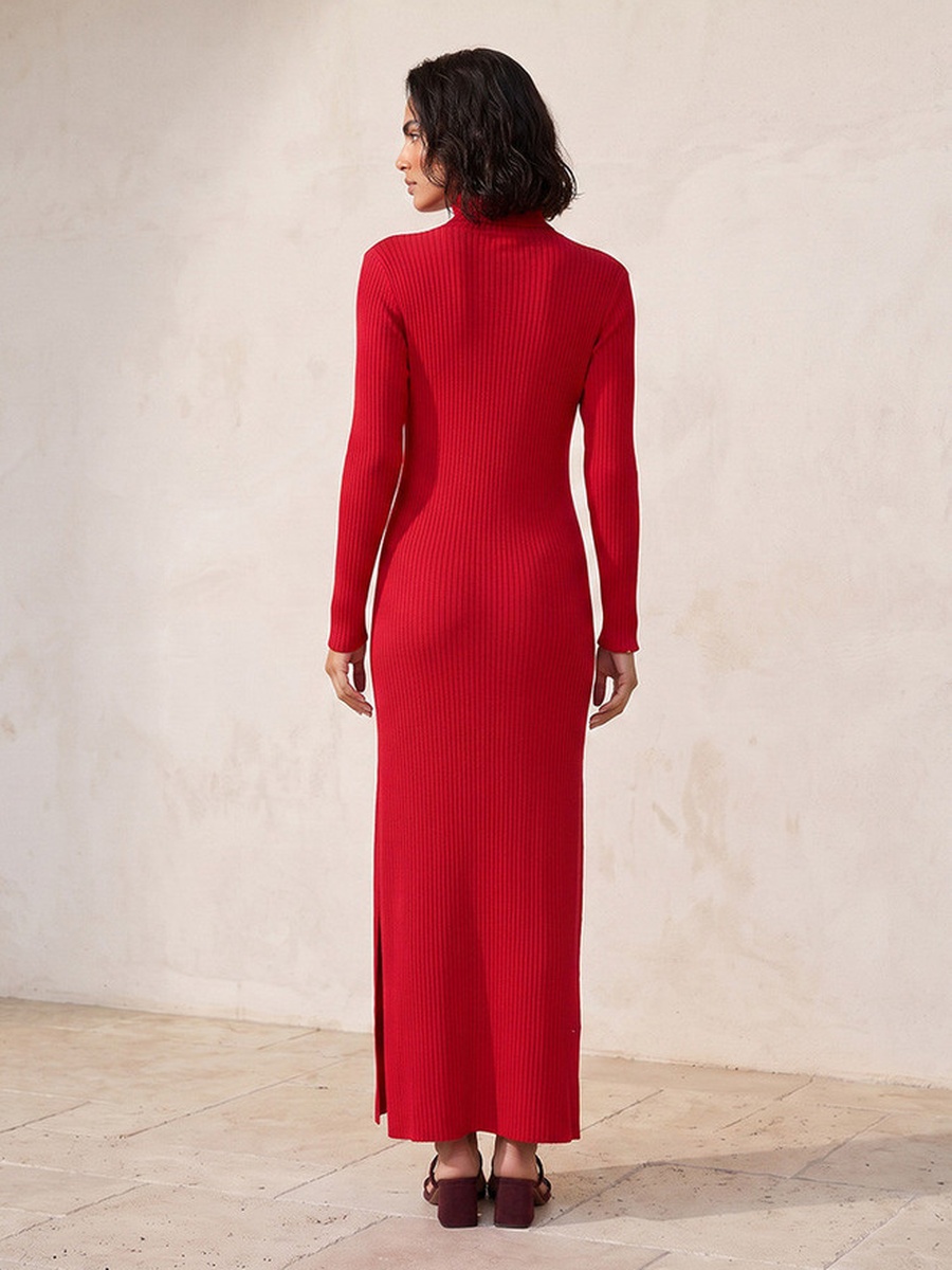 Maxi Length Bodycon Dress with High Neck