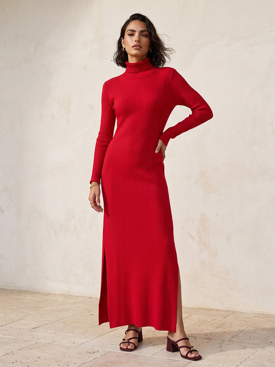 Maxi Length Bodycon Dress with High Neck
