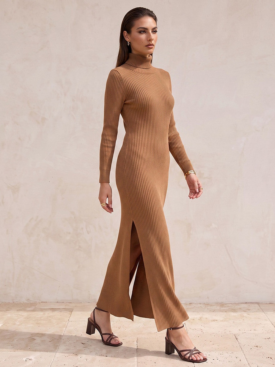 Maxi Length Bodycon Dress with High Neck