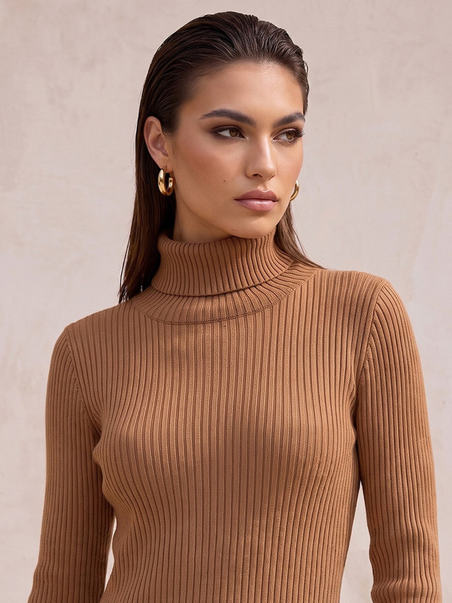 Maxi Length Bodycon Dress with High Neck